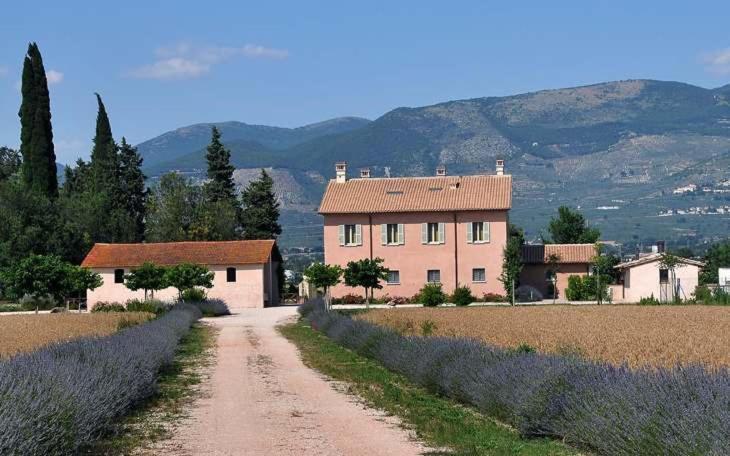 Country House Casco Dell'Acqua Trevi Bagian luar foto
