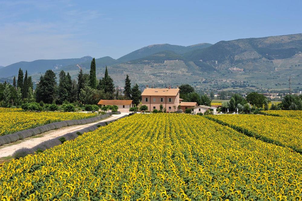 Country House Casco Dell'Acqua Trevi Bagian luar foto